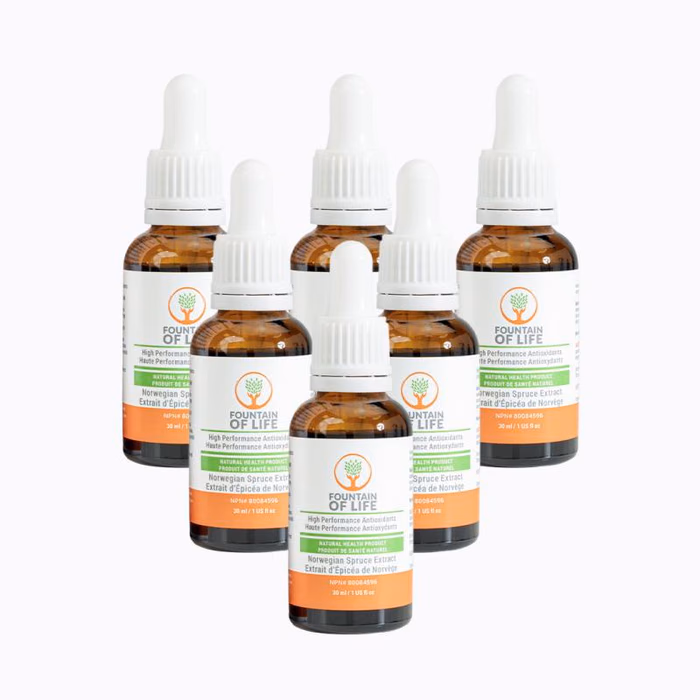 Fountain of Life - 6 Bottles
